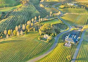 Black Barn Vineyard