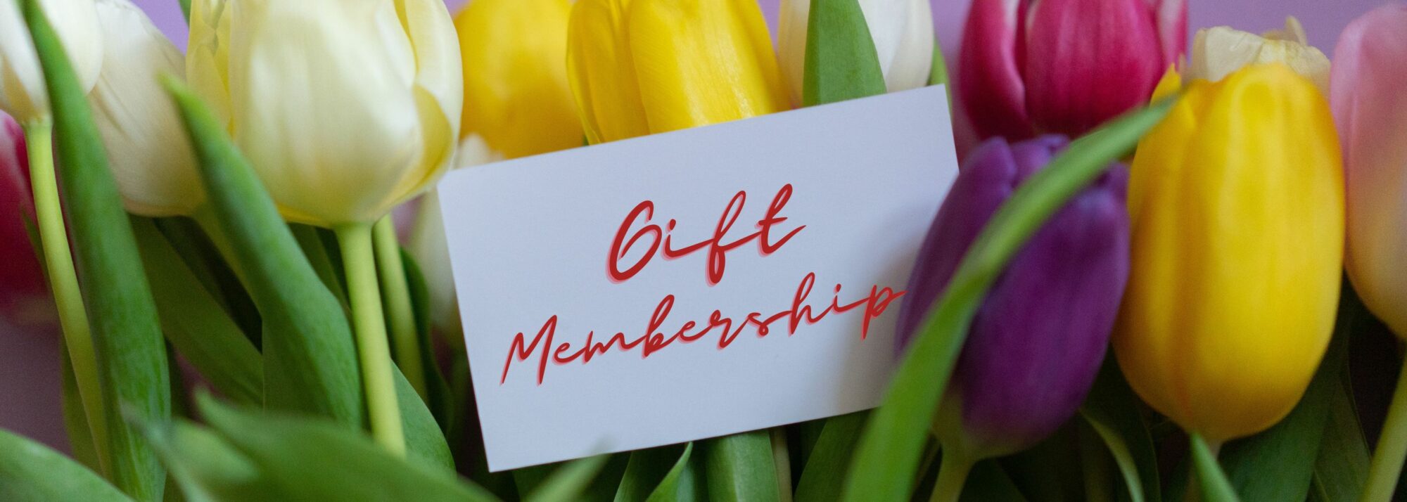 Give a membership